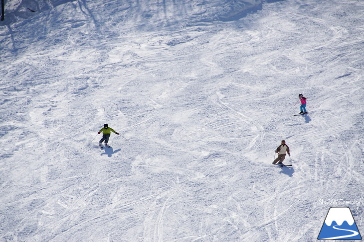 札幌国際スキー場 Welcome back POWDER SNOW !! ～パウダースノー復活～